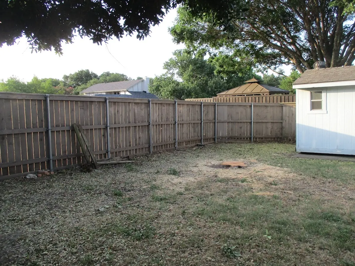 Cleared yard after professional tree removal in New Virginia